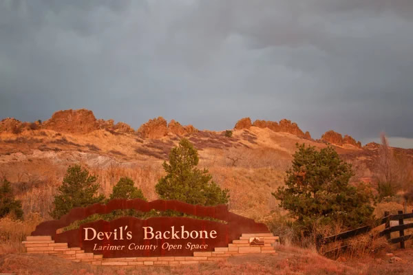 Devils backbone
